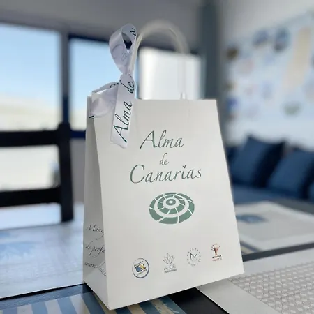 Vilem & Piscina, Wi-fi * كوستا كالما